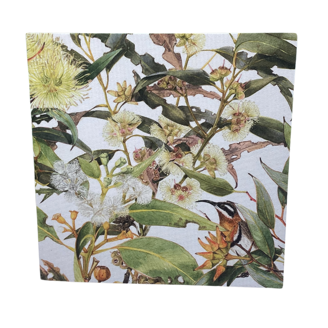 A square card featuring Eucalyptus blossom and leaves and a Spinebill Honeyeater bird in the front right corner. The artwork is by Philippa Nikulinsky AM, and is blank inside.