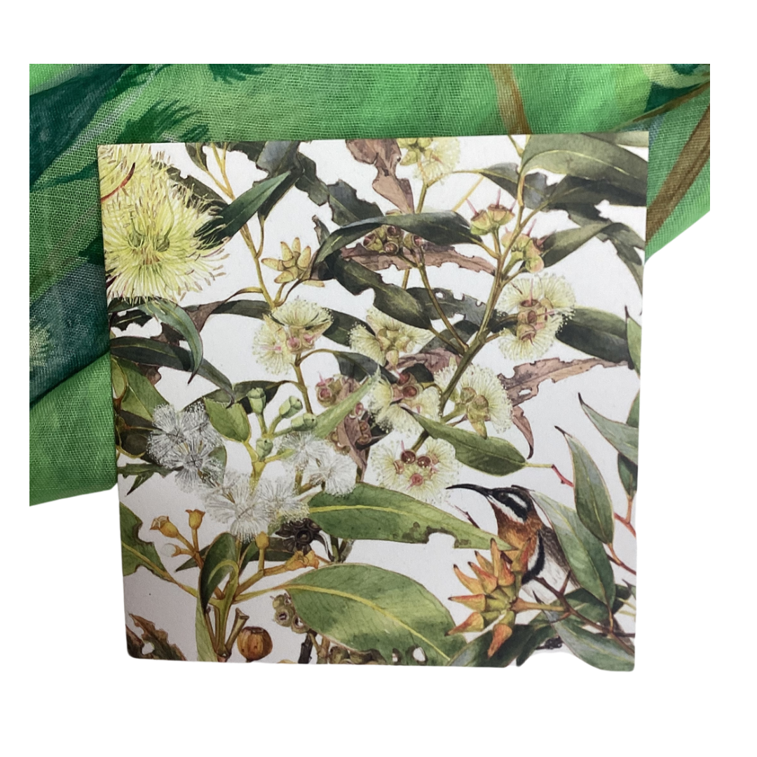 A square card featuring Eucalyptus blossom and leaves and a Spinebill Honeyeater bird in the front right corner. The artwork is by Philippa Nikulinsky AM, and is blank inside.