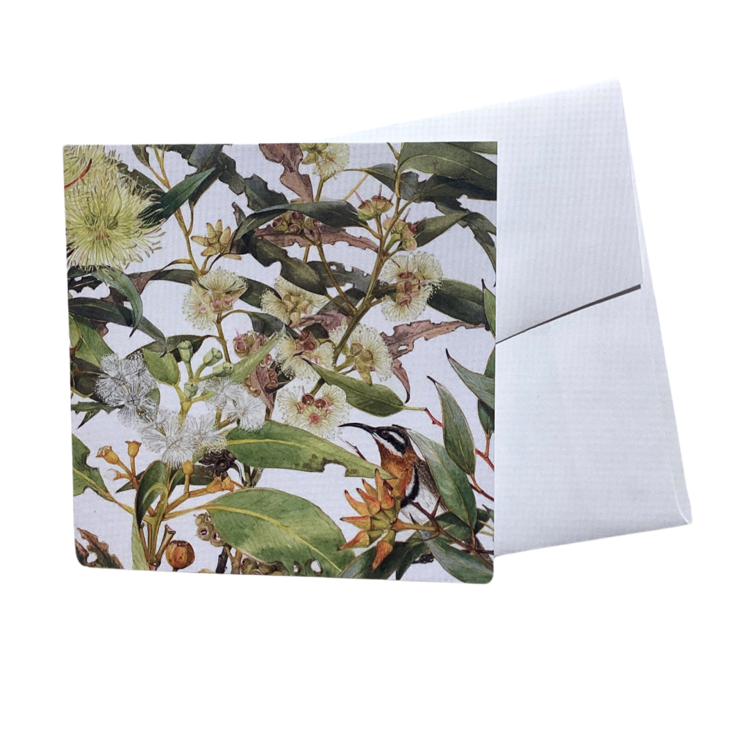 A square card featuring Eucalyptus blossom and leaves and a Spinebill Honeyeater bird in the front right corner. The artwork is by Philippa Nikulinsky AM, and is blank inside.