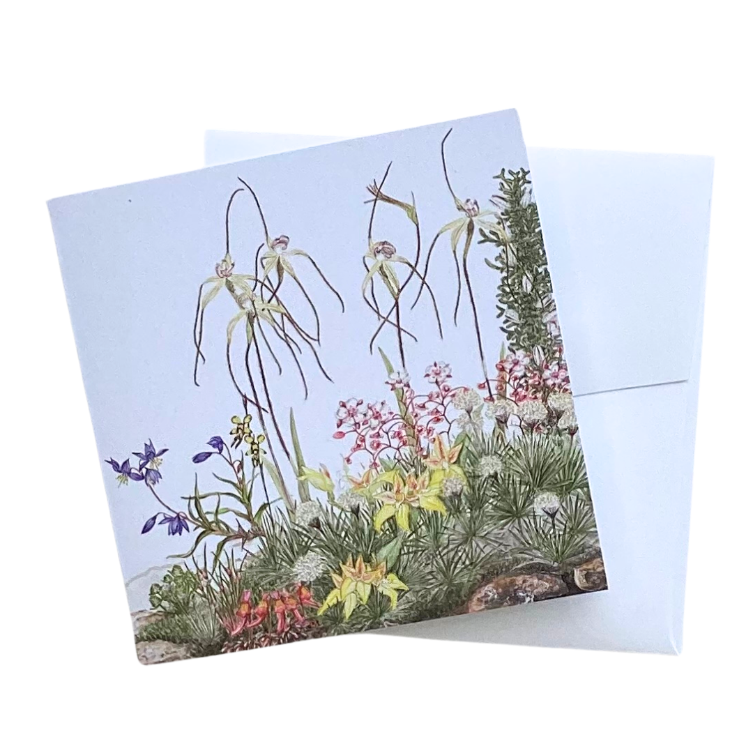 Australian Orchid Greeting Card