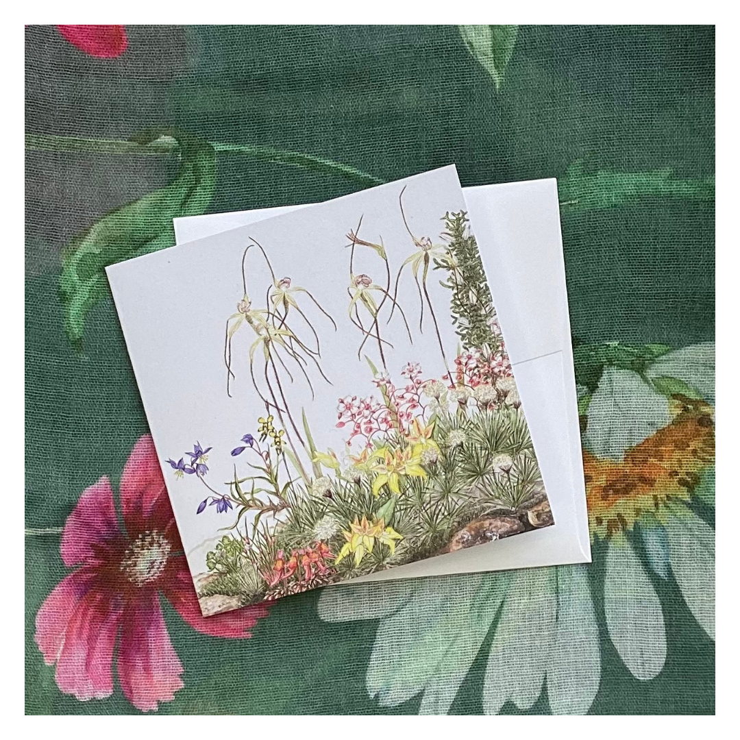 Australian Orchid Greeting Card