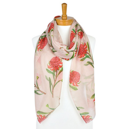 a cotton ladies scarf that has a beige background and bright Waratah Flowers in shades of bright pink and red with green leaves