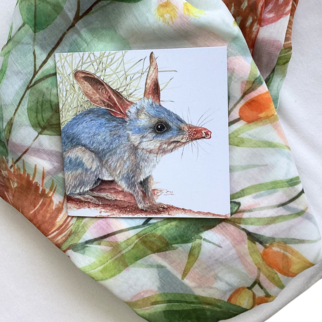 a ladies scarf with native florals and a square card of an Australian Bilby