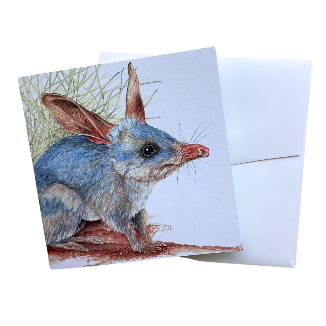 a square card with artwork of an Australian Bilby by artist Philippa Nikulinsky