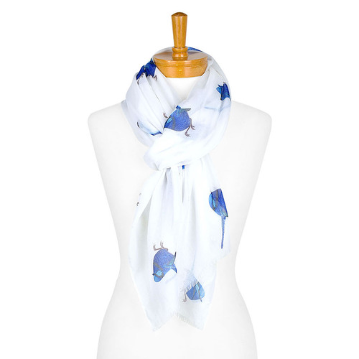 A cotton ladies scarf that has a white background and medium sized blue Splendid Fairy Wrens. The scarf is tied onto a mannequin.