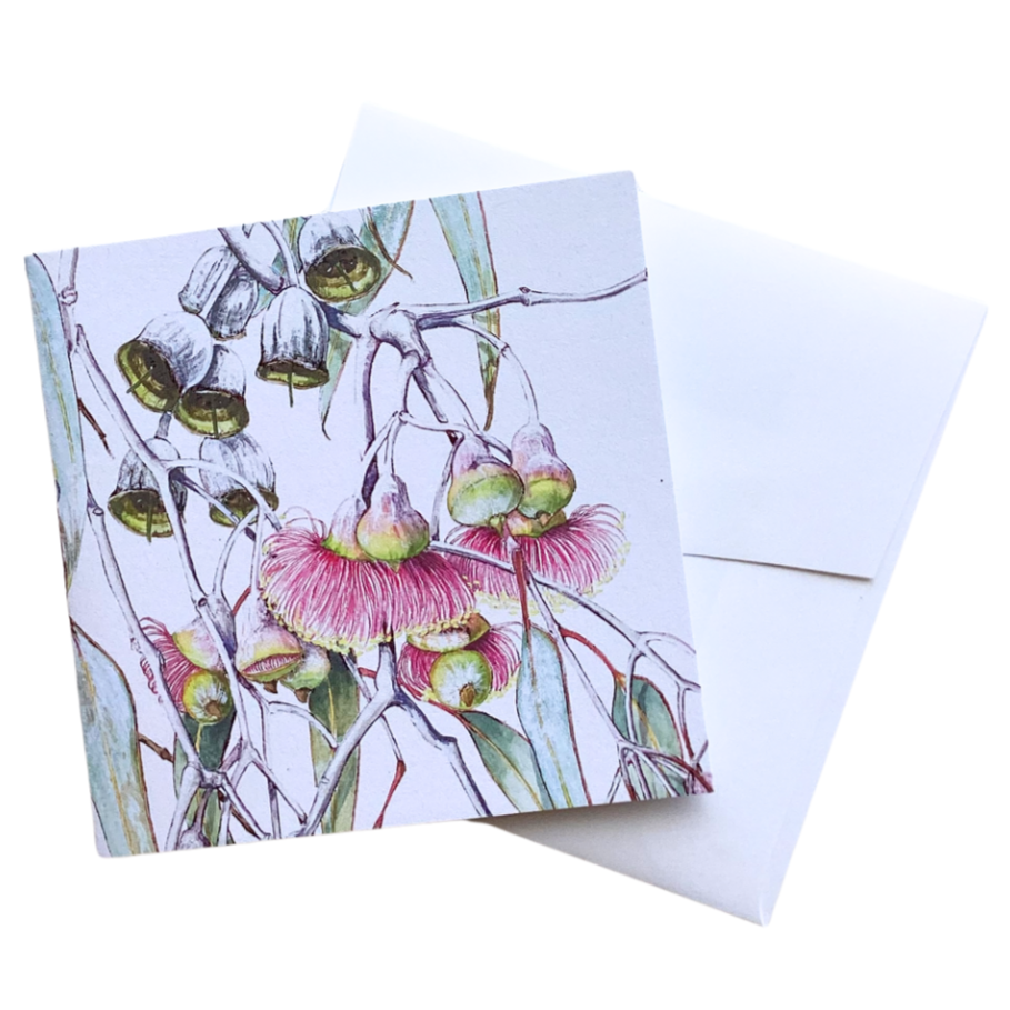 a pretty sqaure greeting card that features gum nuts and flowers by Western Australian artist Philippa Nikulinsky. The card is blank inside and comes with a plain white envelope