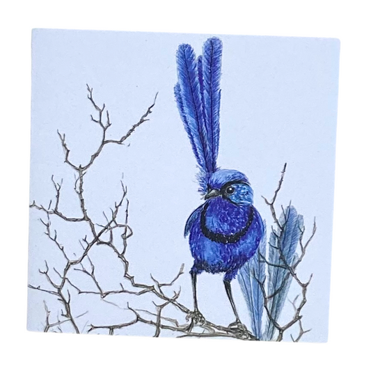 Fairy Wren Greeting Card