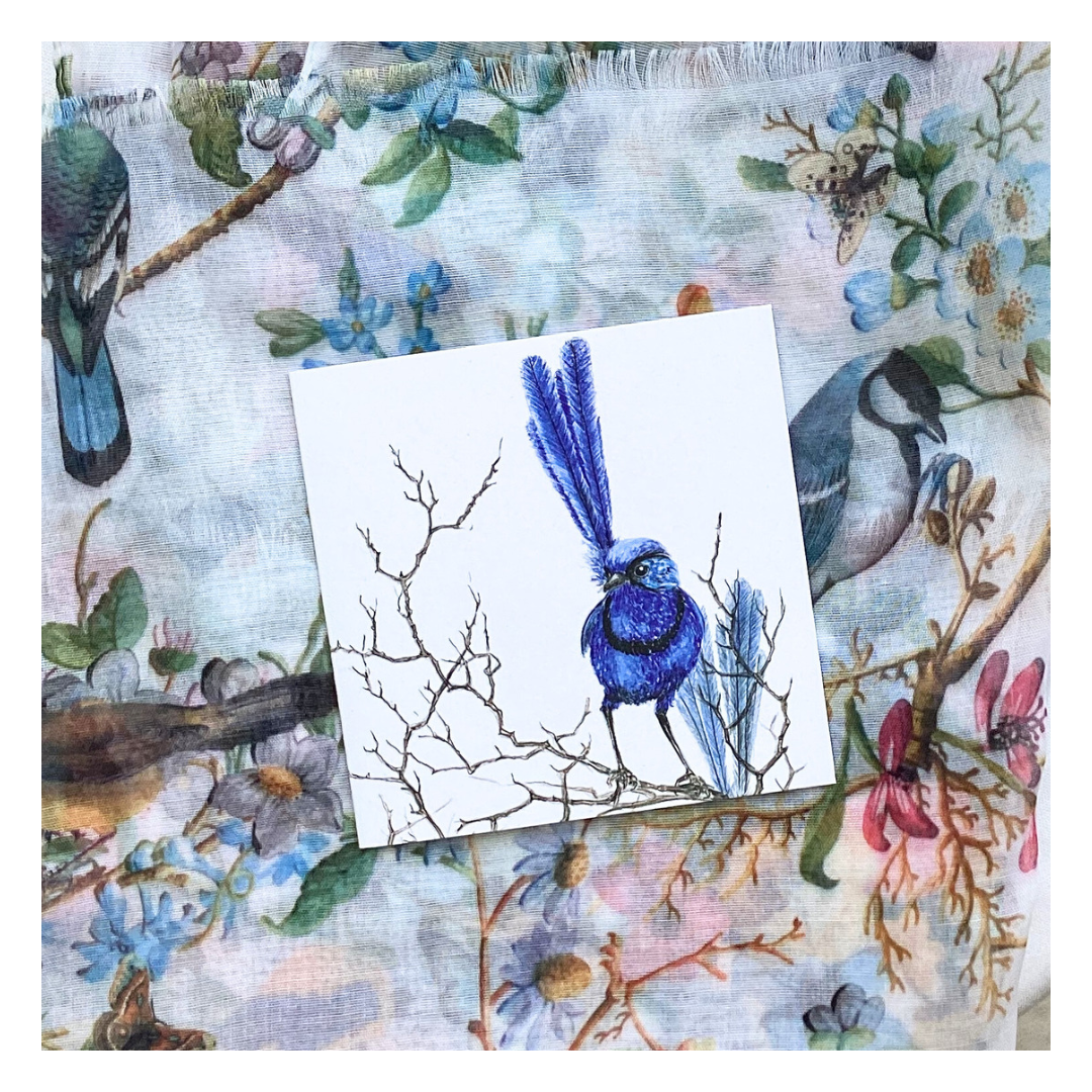 Fairy Wren Greeting Card