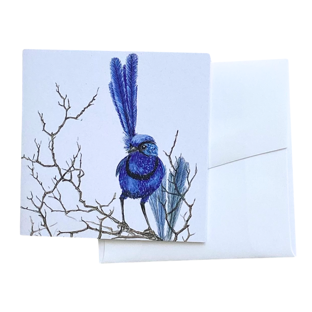 Fairy Wren Greeting Card